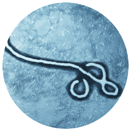 Ebola